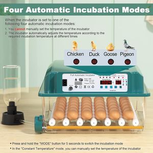 Incubateur à œufs 36 places, 4 modes automatiques, avec fonction de retournement, pour l'éclosion des œufs de poule - Product Image 1