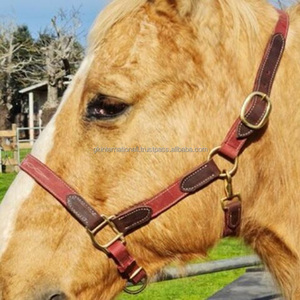 Halter de cheval d'équipement de cheval en cuir de vache de haute qualité 100% avec le matériel d'acier inoxydable pour le produit équestre supérieur de course - Product Image 6