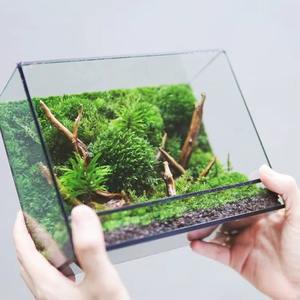 Terrarium en verre moderne avec base en bois, pot décoratif d'intérieur pour la maison, le bureau, la table de café et un intérieur élégant, provenant d'Inde. - Product Image 2