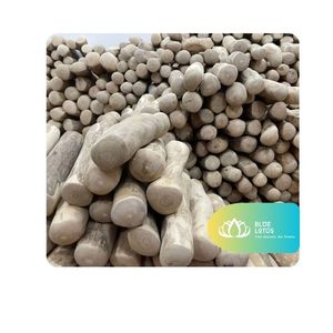 [HIGH QUALITY] LemonJoy Coffee Wood Chew Stick for <b>Dogs</b> L Size <b>Interactive</b> Chew <b>Toy</b> for Indoor Play Sessions Carton Packed - Product Image 1
