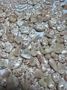 Cabujones de Piedra Preciosa Natrolita o Thomsonita Natural, Corte Ovalado, Formas Mixtas, Rosa Blanco, Tamaño Libre, Cabujones Sueltos - Product Image 3