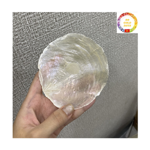 เปลือกหอยกาบปะการังทรงกลม |   50 มม. สีขาวธรรมชาติขัดเงา |   สำหรับโคมระย้าและของตกแต่งงานแต่งงาน |   ขายส่ง - Product Image 4