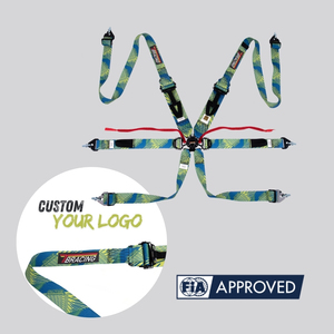 Arnés de Carreras SPORT PLUS 4 Ultra Light FIA 8853 2016 de 6 Puntos con Ajustador Desplegable para Marcas OEM ODM con Logotipo Personalizado - Product Image 1