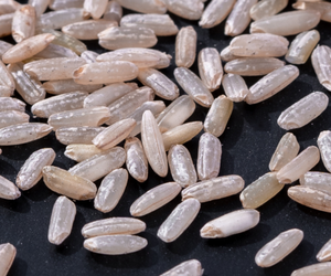 Riz brun - Riz brun naturel - Riz sain en grains entiers - Vente en gros - Exportation - MaxRice - Product Image 1
