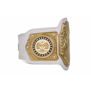Cinturón de Campeonato de Boxeo Personalizado Champion 2026, Cinturón de Lucha Libre de Alta Calidad con Correas de Cuero Resistentes - Product Image 3