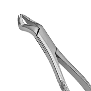 ARISTON INTERNATIONAL Pinzas de Extracción Dental Manuales de Acero Inoxidable de Alta Calidad, Pinzas de Extracción Pedo Cowhorn, CE - Product Image 3