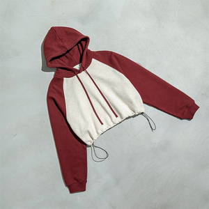 High Quality Winter Waterproof Oversize Cropped <b>Hoodie</b> Custom Stringless Zipper Thick Fleece Printed Plus Size Women's - Product Image 3