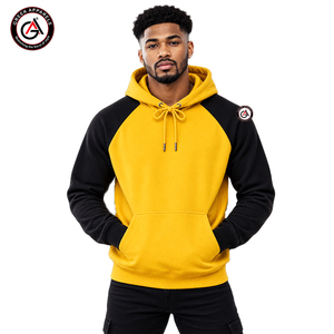 Alpha en gros |   Sweat à capuche en polaire uni pour femme de la fraternité Phi Embroidery |   Broderie personnalisée 100% fibre de bambou, formel, hiver - Product Image 1