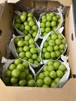 Uvas Japonesas de Calidad Excepcional, Frescas, Rojas, Negras y Verdes, Sin Semillas