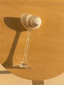 Copa de Vino de Concha de Abulón - Copa Iridiscente Estilo Sirena para Brindis de Boda en la Playa, Regalo Único para Damas de Honor, Elegante Plato para Adornos - Product Image 3