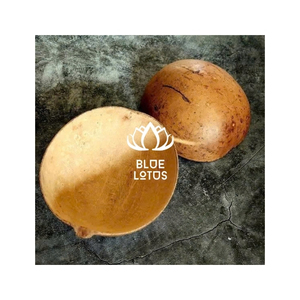 Bols en calebasse de qualité supérieure, faits à la main, écologiques, pour servir des collations et décorer une cuisine rustique, pour les acheteurs B2B - Product Image 1