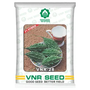 Graines de courge amère hybride VNR 28 F1, récolte précoce, taille uniforme des <span class=keywords><strong>fruits</strong></span>, légume biologique pour usage alimentaire - Product Image 1