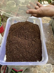 Vietnam Vermicompost Organic Fertilizer Powder Quick Home Garden Plants Improve Soil Nutrients Jumbo <b>Bag</b> Premium Quality Use - Product Image 5