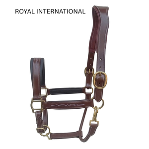 Harnais de cheval réglable en cuir véritable de qualité supérieure Royal International avec ferrures en laiton |   Équipement d'entraînement équestre rembourré et doux pour l'écurie - Product Image 1