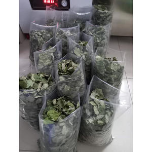 Hojas Secas de Bai Ya Nang en Empaque Personalizado de 100g, 200g, 500g, Envasadas al Vacío para Sopas y Bebidas de Gelatina de Hierba Verde - Product Image 4