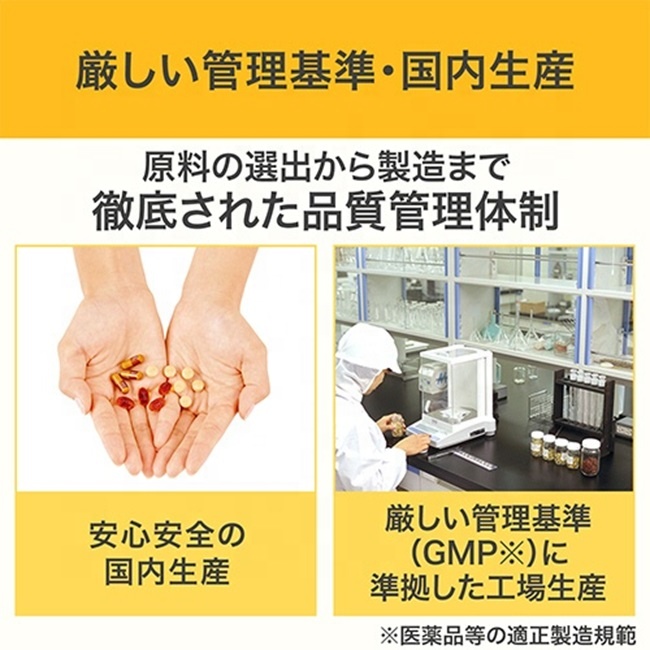 Premium Diet Program 3本セット MassaMAX 2024 3D Full Body & Foot Massage Chair, Zero Gravity