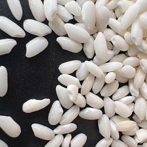 Fournisseur de premier plan de riz gluant de haute qualité en provenance du Vietnam pour l'exportation en gros. Contactez Mme Kayla +84 85 693 9777 - Product Image 2