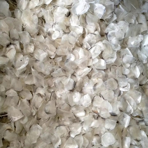 Écailles de poisson, produit tendance 2026, matière première marine naturelle du Vietnam - Product Image 1