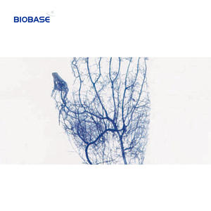 Biobase Fabricant Vein Imaging Détecteur de veine de haute précision Visualisation en temps réel Vein Finder BK-VIA100 - Product Image 3