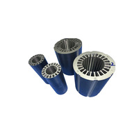 Matrice de découpe progressive pour stator et rotor inclinés, moule de laminage de moteur sur mesure de haute précision 90x47mm 2 cavités