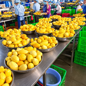 Rodajas de Mango Enlatadas Premium - Fruta Tropical Enlatada Hecha en Vietnam - Mango Enlatado en Almíbar Ligero Fácil de Abrir/ Sra. Alina - Product Image 5