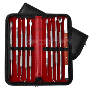 10 PCS High Quality Stainless Steel Dental Waxing Instruments Set for Wax Carving CE Certified <b>Blush</b> Surgical Brand - Product Image 1