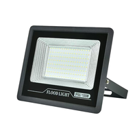 Projecteur LED en aluminium 100lm/W 300w avec indice d'étanchéité IP 66