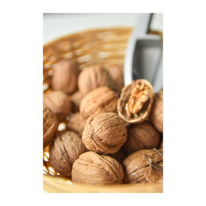 Noix en gros, approvisionnement en vrac, prix bas, fruits secs riches en nutriments - Product Image 2