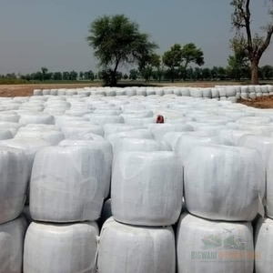 อาหารสัตว์พรีเมียมจากข้าวโพดหมัก 100% ธรรมชาติสำหรับโค – ข้าวโพดหมักโปรตีนสูง บรรจุภัณฑ์สุญญากาศ - Product Image 5