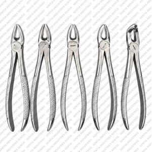 ชุดคีมถอนฟันพรีเมียม 10 ชิ้น ชุดคีมถอนฟันสแตนเลส เครื่องมือผ่าตัดทางทันตกรรม - Product Image 4