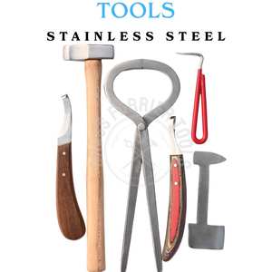 Kit d'outils de fermeur : Couteau à sabots courbé et aiguisé, Boucle pour abcess, Outil de test de pression, Pince à sabots, Marteau de fermeur et Cure-sabot - Product Image 4