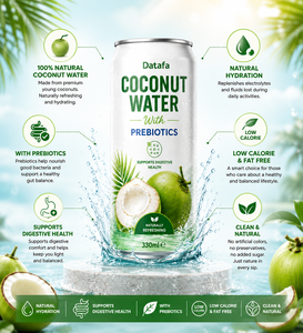 Agua de Coco Prebiótica, Directorio de Proveedores de Vietnam, OEM, Buen Precio, Lata de 330 ml, 100% Pura, Sin Azúcar, DATAFA CW330 - Product Image 6