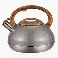 Bouilloire sifflante en acier inoxydable de style classique avec poignée en nylon et fond à induction, théière écologique pour cuisinière