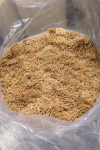 MOUSSE DE MER D'IRLANDE VÉGAN / MOUSSE DE MER DE QUALITÉ SUPÉRIEURE DU VIETNAM / Mme Alina - Product Image 2