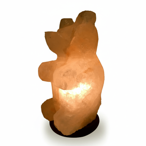 Lampe de table en forme d'animal en sel organique écologique sculpté à la main - Décoration d'intérieur - Product Image 1