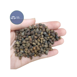 Té de Flores de Papaya Secas Puras Premium, Bebida Herbal Sostenible, Blue Lotus Gold Vietnam, Vida Útil de 12 Meses - Product Image 1