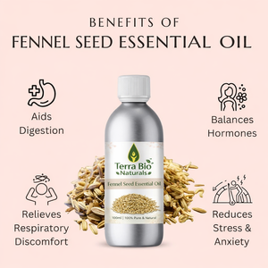 Huile Essentielle de Graines de Fenouil Pure et Naturelle pour Massage, Diffuseur, Cosmétiques, Soins de la Peau, Fabrication de Savons et de Bougies – Vente en Gros et Approvisionnement en Vrac - Product Image 2