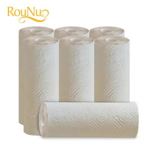 High Quality EcoTurtles Exploration Kitchen Paper Towel 2 Ply Commercial Roll Eco-Friendly Recyclable Soft - Product Image 1