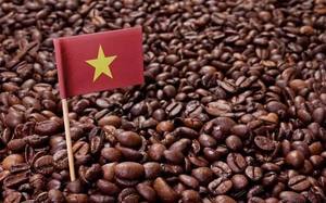 เมล็ดกาแฟโรบัสต้าเวียดนามคั่วเต็มเมล็ดหรือบดละเอียด รสชาติเข้มข้น พรีเมียม สำหรับกาแฟเอสเพรสโซ ขายส่ง - Product Image 4