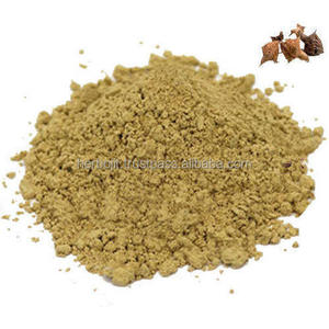 Fórmula herbal en polvo de extracto de Tribulus Terrestris de alta calidad para el soporte de la hormona de la vitalidad de la resistencia y el cuidado del bienestar - Product Image 6