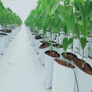 Cocopeat de 20 Litros con Cubiertas Tratadas con Protección UV de 2 Años, Bolsas de Cultivo para Plantas, Tipo Plano - Product Image 2