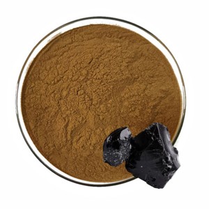 Extracto de Shilajit del Himalaya 100% Puro, 50% Natural, Rico en Minerales, Suplemento Ayurvédico para Vitalidad, Resistencia y Rendimiento - Product Image 1