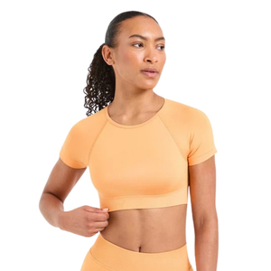 Top Corto sin Costuras para Mujer, Camiseta Deportiva de Alta Elasticidad, Transpirable, para Yoga, Gimnasio, Ropa Deportiva, Ropa de Entrenamiento, Personalizada OEM ODM - Product Image 3