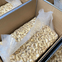 Premium kwaliteit cashewnoten groothandel, cashewnoten voor wereldwijde voedingsaankopers en distributeurs van gezonde snack-ingrediënten