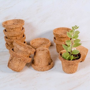 Macetas de fibra de coco para viveros al por mayor, otros suministros de jardinería a bajo precio, macetas de fibra de coco para plantar. - Product Image 2