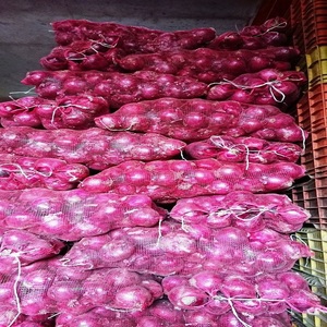 ลดราคาสุดๆ! หัวหอมแดงคุณภาพสูง สดใหม่ 100% ออร์แกนิค เกรดพรีเมียม รสเผ็ดร้อน ผลิตจากเวียดนาม ราคาดีเยี่ยม สำหรับขาย/ส่งออก - Product Image 6