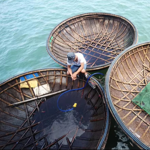 Bote de Bambú Ecológico Hecho en Vietnam para Transporte Costero y Experiencia Cultural, Incluye Banco - Product Image 1