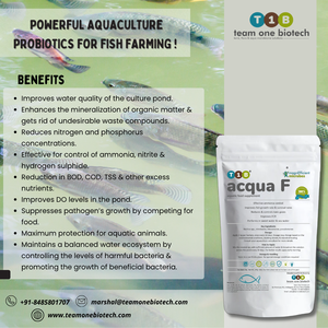 Probiotiques naturels d'aquaculture pour une pisciculture sans stress - Product Image 3