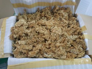 Musgo Marino Vietnamita de Alta Calidad para la Elaboración de Gel y Nutrición, Suministro a Granel para el Mercado Global - Product Image 4