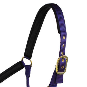 Purple Nylon Horse <b>Halter</b> with Brass Hardware Adjustable Fit Equestrian Head Collar Strong Style Made Training Riding Horse - Product Image 4